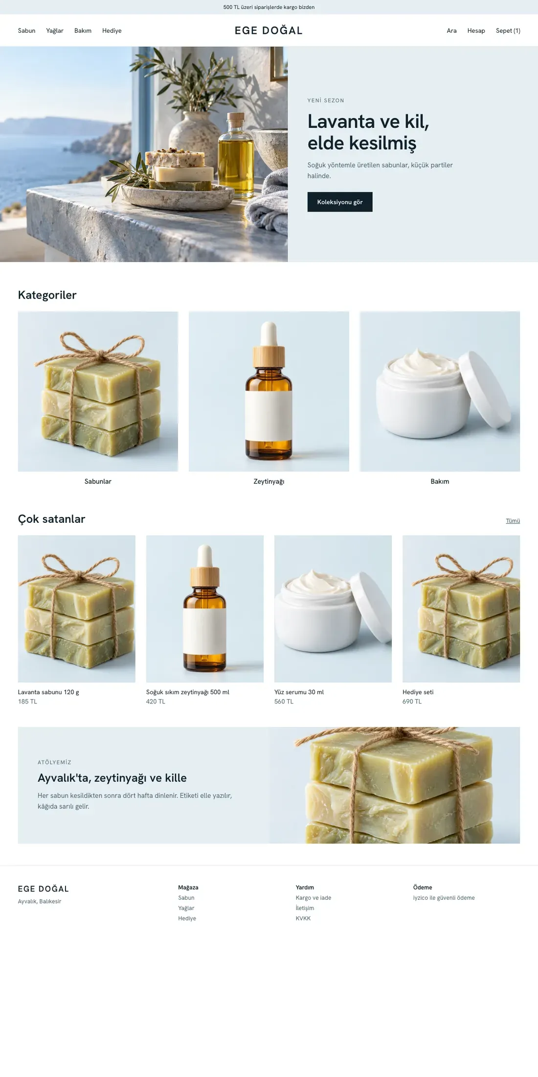 Mavi Rota theme desktop home page sample