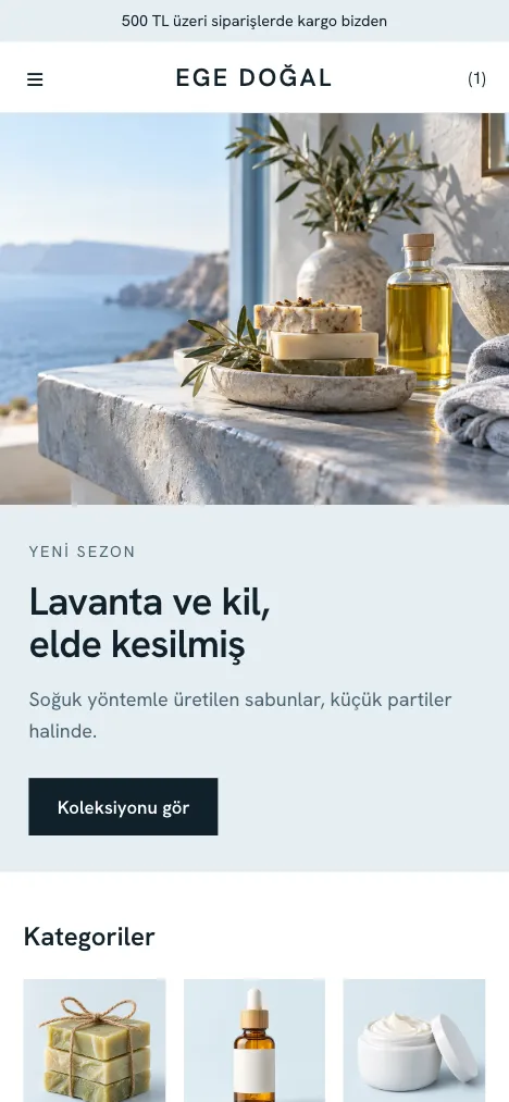 Mavi Rota theme mobile home page sample
